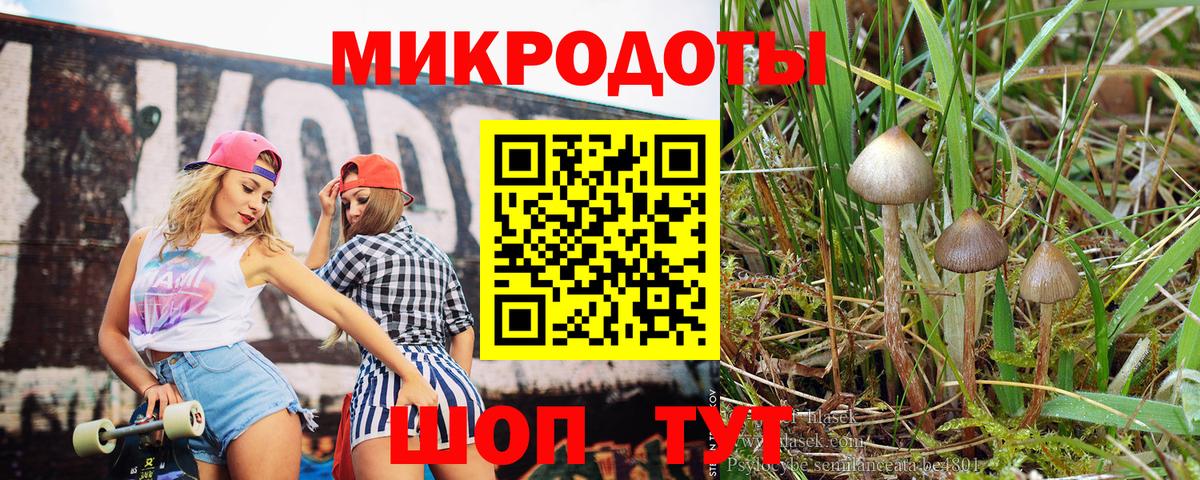 Касимов  Галлюциногенные грибы Psilocybine cubensis  Вход с VPN 